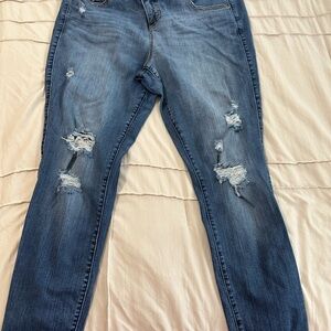 Torrid premium jegging 18R